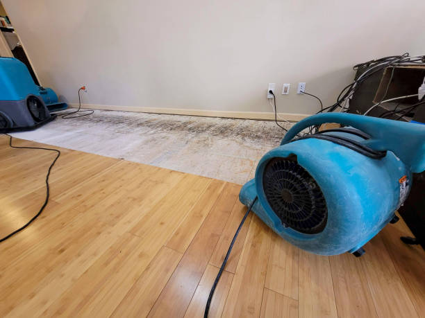 Professional Flood Damage Cleanup technician working in Vinton, OH